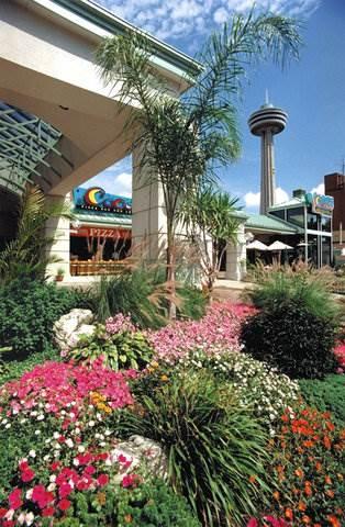 Falls-by The Falls By Ihg Resort